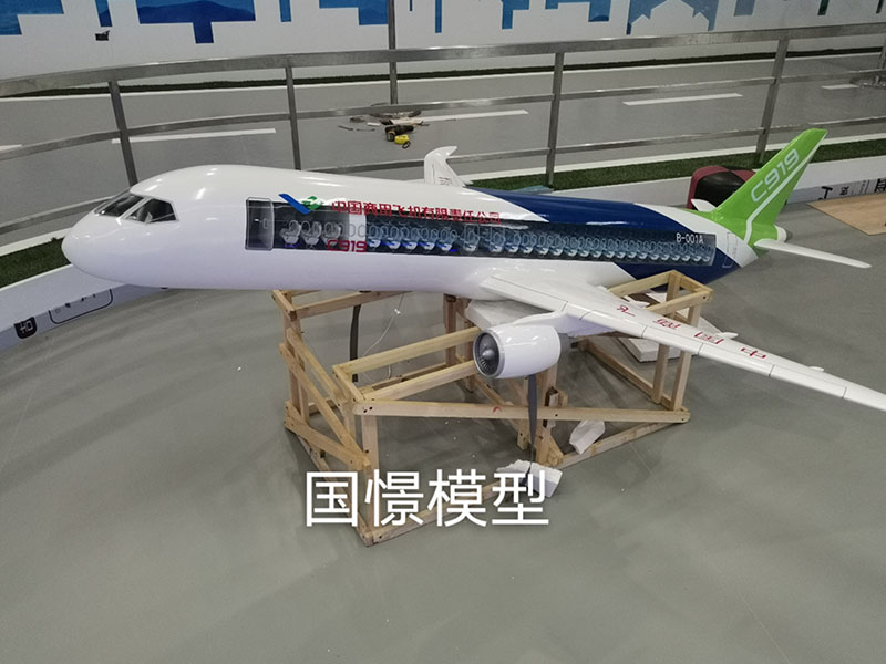 红安县飞机模型